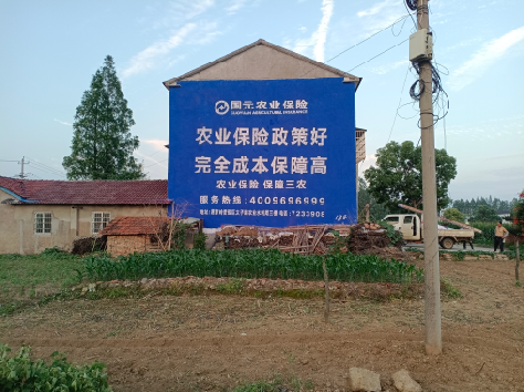 汉寿墙体广告的优劣势你知道吗？