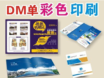 汉寿单页印刷，色彩搭配简单。